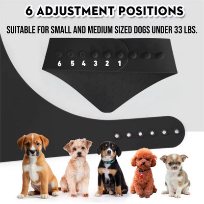Departures Dog Collar