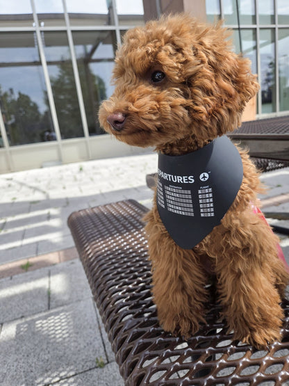 Departures Dog Collar
