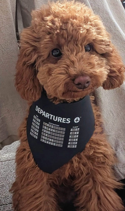 Departures Dog Collar